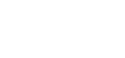 Odyn Brothers